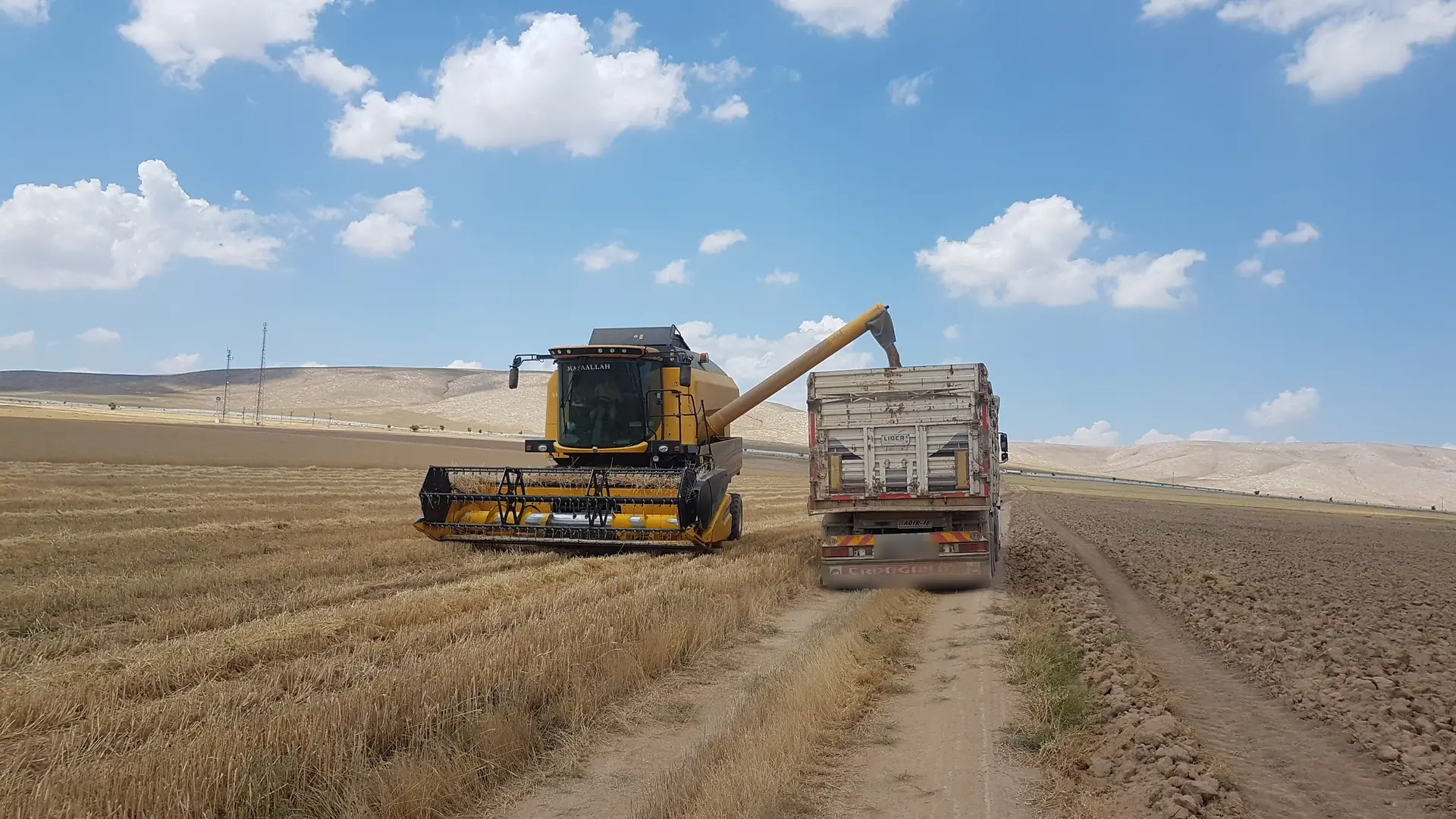 Tarım Ürünleri ve Hububat Taşımacılığı